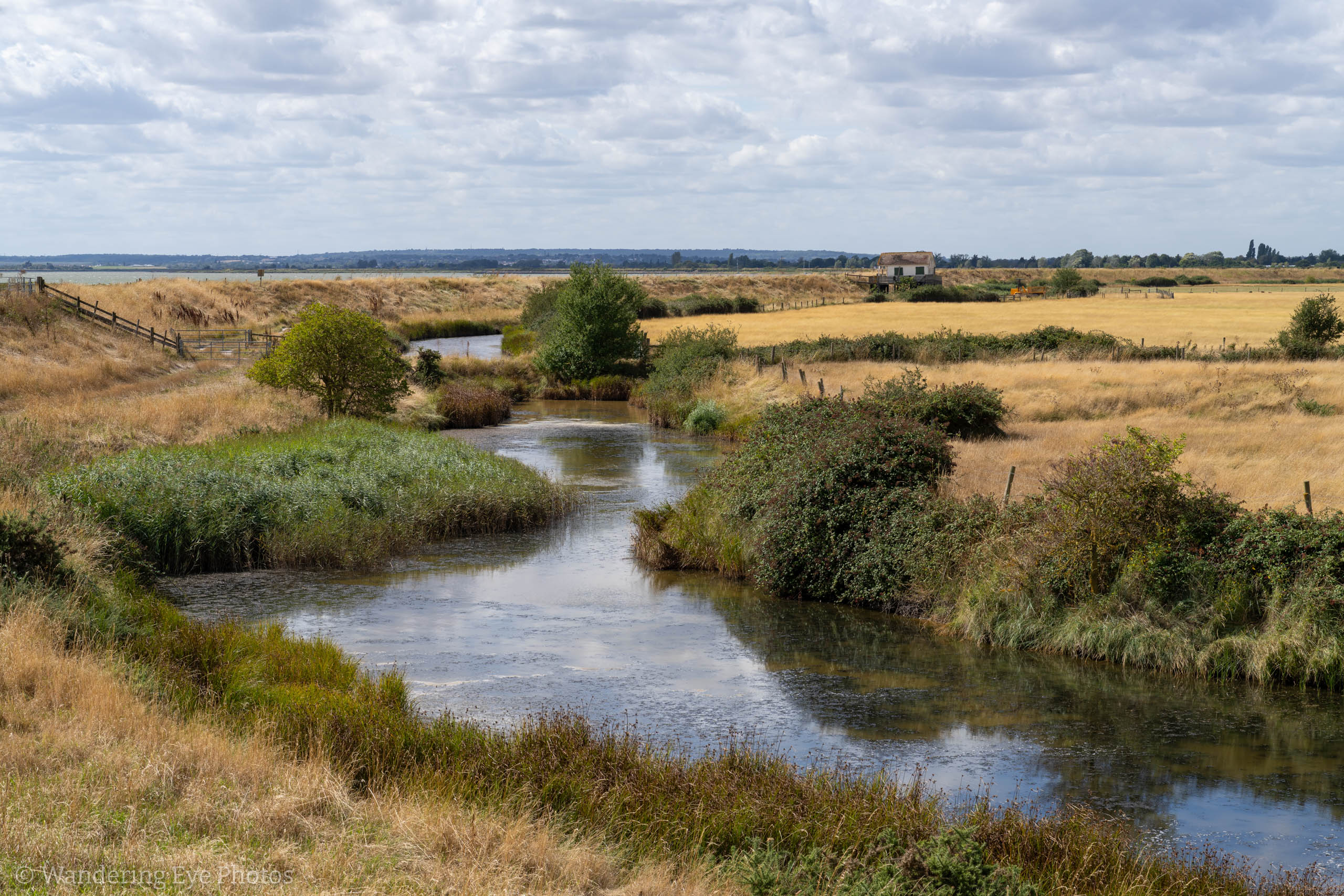 08.25 14.03.49   DSC03154